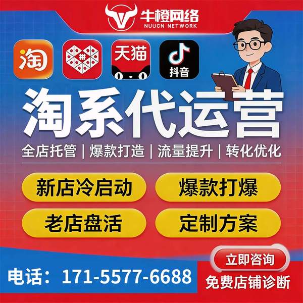 廊坊电商代运营