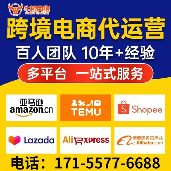 廊坊电商代运营
