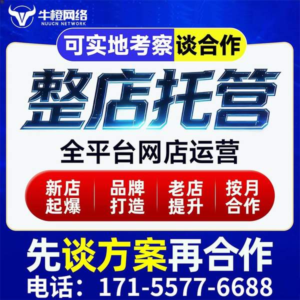 廊坊电商代运营