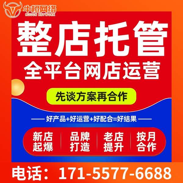 廊坊电商代运营