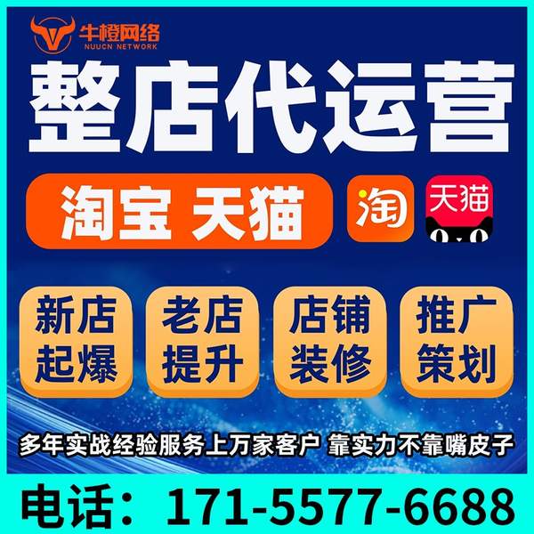 廊坊电商代运营