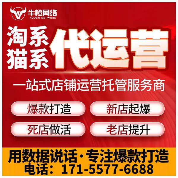 廊坊电商代运营